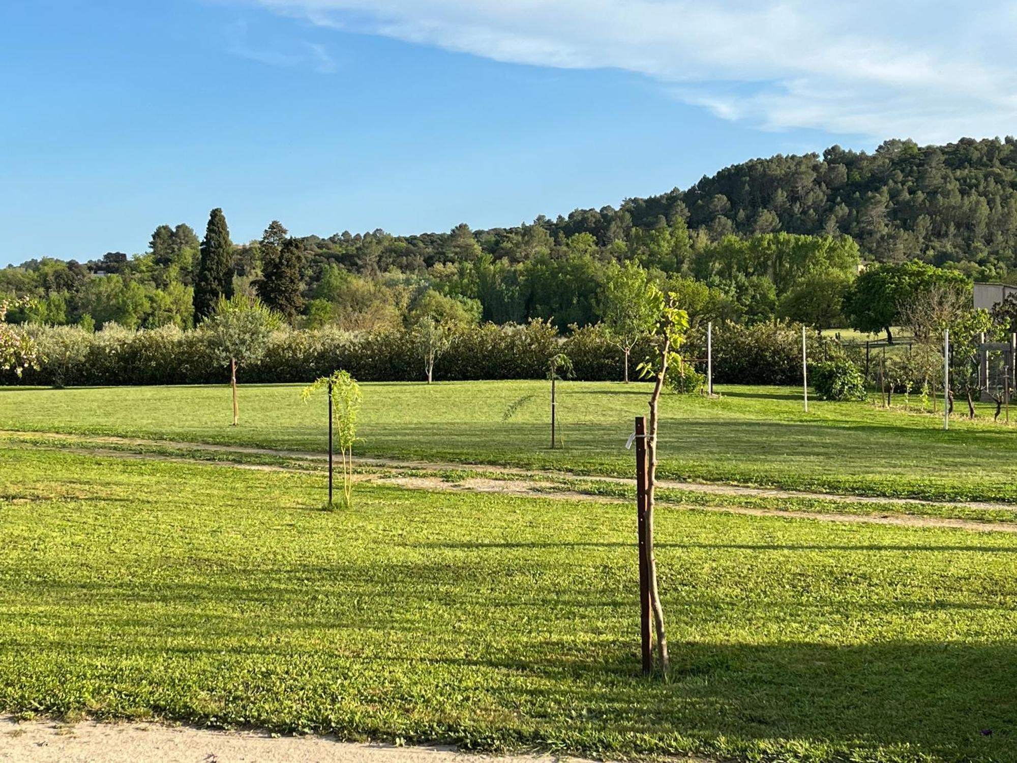 La Bergerie Apartment Domessargues Luaran gambar