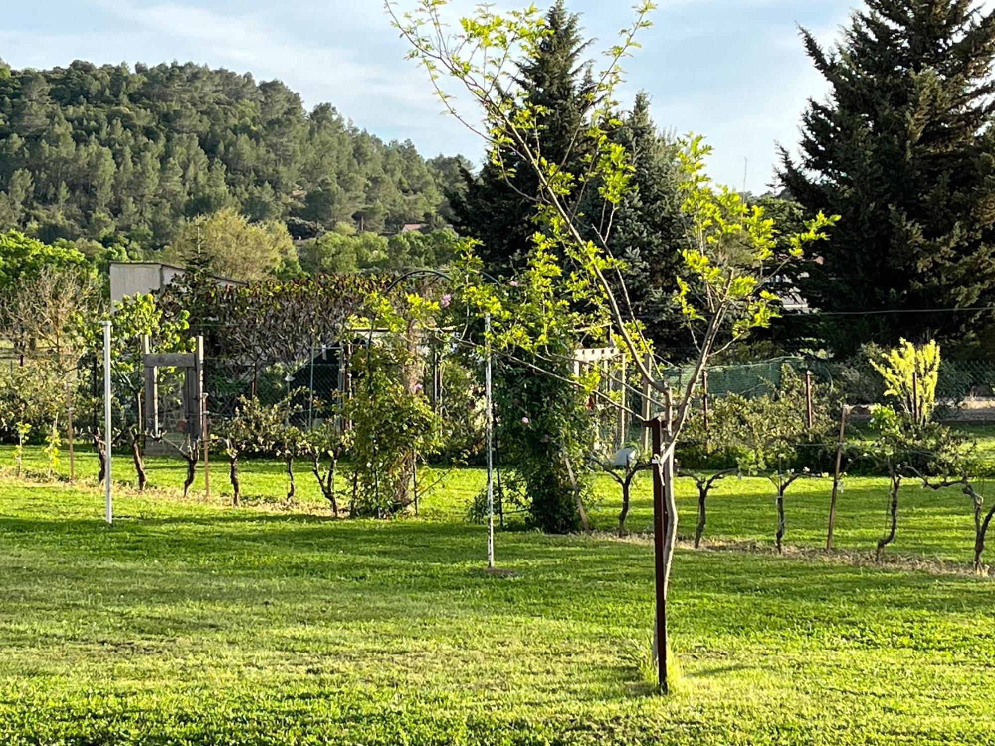 La Bergerie Apartment Domessargues Luaran gambar